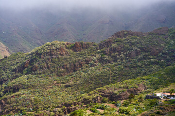 Mountains of Anaga, in Tenerife