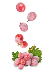 red grapes falling on transparent background