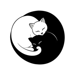 black cat on a white background