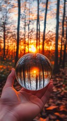 Hand Holding Crystal Ball Reflecting Sunset Forest Scene