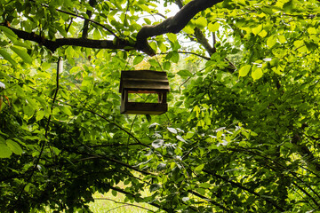 Birdcage in the park against the background of green deciduous trees