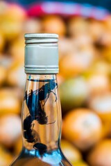 Wasp trapped in a bottle of mezcal, typical mexican beverage