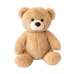 Obraz premium brown teddy bear