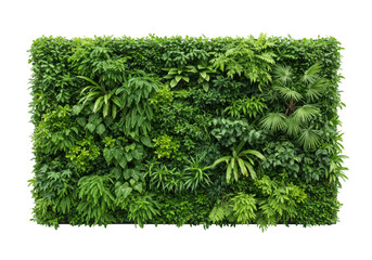 A lush green wall covered in a variety of vibrant plants and leaves, isolated on a transparent background
