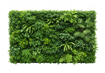 A lush green wall covered in a variety of vibrant plants and leaves, isolated on a transparent background