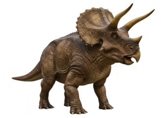 A realistic triceratops dinosaur with three horns and a frill, isolated on white isolated on transparent background