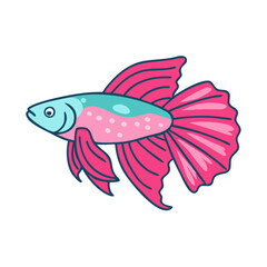 Isolated betta fish vector illustration, siamese fighting fish, pet fish, colorful fish art, aquarium fish