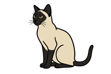 Fototapeta premium Vector Illustration of Elegant Siamese Cat