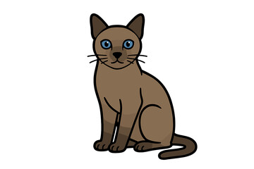 Vector Illustration of Tonkinese Cat with Blue Eyes