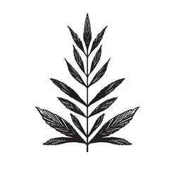 plants flowers vintage hand drawing