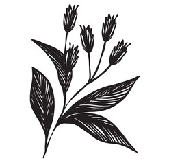 plants flowers vintage hand drawing