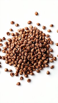 Close-up of whole cumin seeds on white surface.