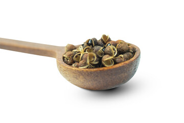 Makhwaen , Zanthoxylum limonella (Dennst.) Alston., is northern Thai spices, dried seeds used for cooking, in brown wooden spoon isolated on white background with clipping path, closed up. Copy space.