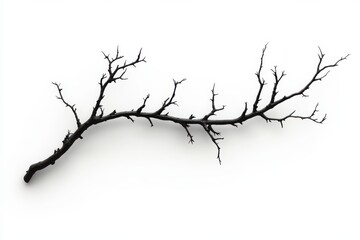 Withered branch art monochrome silhouette dead tree photography detail studio on white background. Generative AI