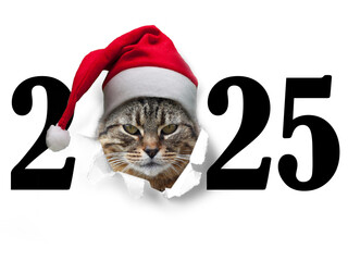 Jahreswechsel mit Tier als Motiv