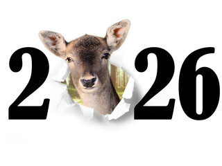 Jahreswechsel mit Tier als Motiv