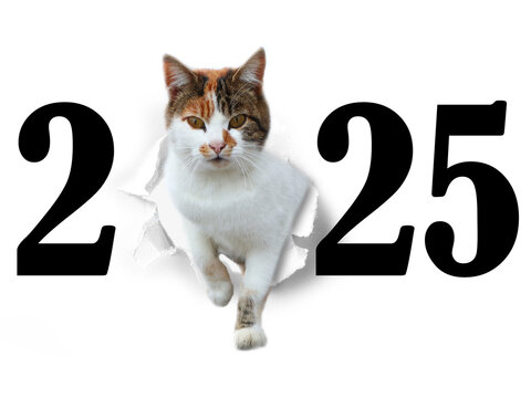 Jahreswechsel mit Tier als Motiv