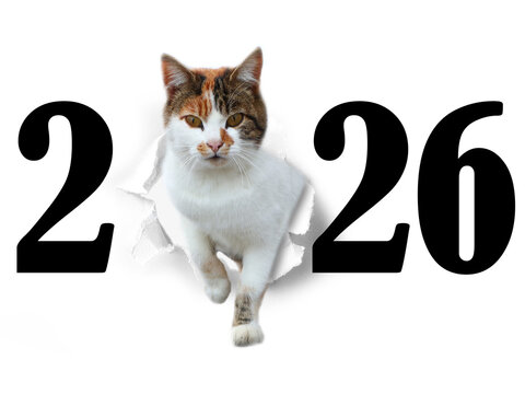 Jahreswechsel mit Tier als Motiv