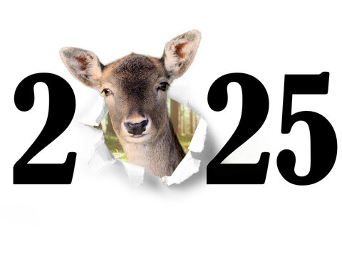 Jahreswechsel mit Tier als Motiv