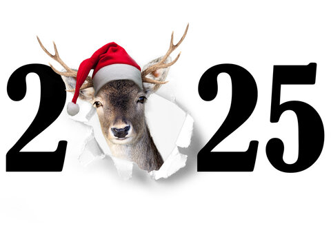 Jahreswechsel mit Tier als Motiv