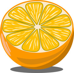 vector illustration of an orange