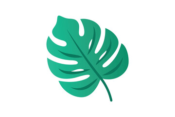 Decorative Tropical Monstera Leaf Cartoon Design On White