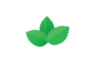 Fresh Mint Leaves Floating Set Isolated Flat Vector