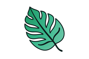 Obraz premium Hand Drawn Tropical Leaf With Smooth Lines And Clean Edges