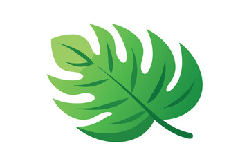 Minimal Cartoon Jungle Leaf With Stylized Curves On White
