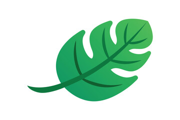 Minimal Cartoon Jungle Leaf With Stylized Curves On White