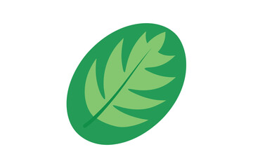 Oval Shaped Tropical Leaf In Cartoon Hand Drawn Style On White