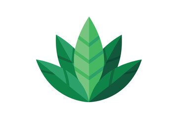 Pointed Tropical Leaf Illustration In Flat Cartoo On White