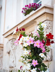 Naklejka premium sizilien