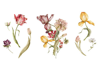 Watercolor floral set. Hand painted garden flowers, leaves, wildflowers and tulips. Bouquet, elements isolated on white background. Botanical illustration for design, print or background