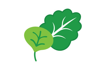 Turnip Leaf Closeup In Flat Outline Illustration