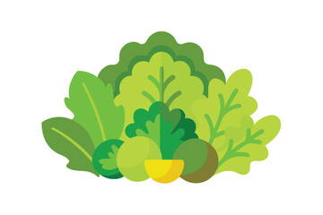 Variety Of Salad Greens In Cartoon Composition Vector Style