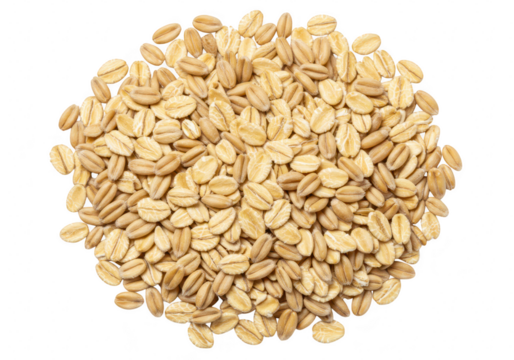 A pile of raw oats cereal grains isolated on a transparent background