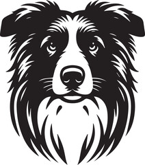 Border Collie Dog Vector – Silhouette 