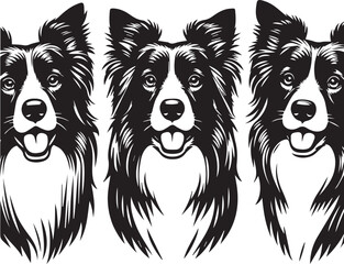 Border Collie Dog Vector – Silhouette 