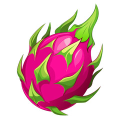 Bright pink dragon fruit with green spikes tropical fruit