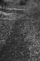 A tesselleted pavement in suburban parklands, partly covered in fallen leaves,Devonport, Tasmania....