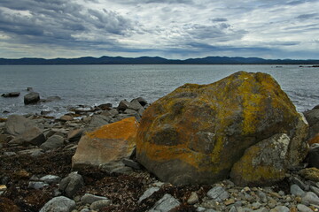 Sedimentary rocks on Hawley beach affected by iron oxides and algae, Tasmania.