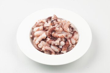 Octopus is a member of the octopus family. Its body is about 70cm long, round and gray, but its color changes depending on the surrounding light.
