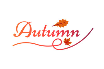 Autumn Design Maple Leaf, Red, Seasonal, Fall, Nature, Graphic, Design, Logo, Typography