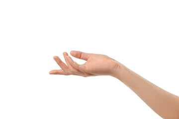 Open hand extends outward in a welcoming manner, isolated on white, PNG