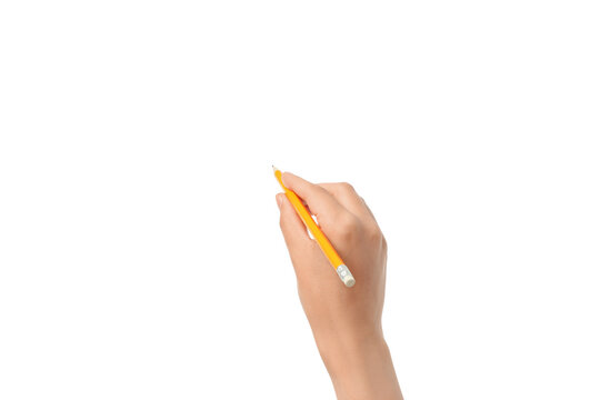 Hand grips a yellow pencil on a blank canvas, isolated on white, PNG