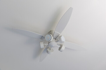 シーリングファンライト