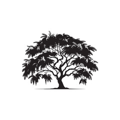 Acacia Vector (3).eps