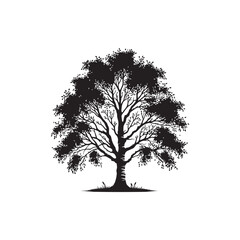 Alder tree Vector (2).eps