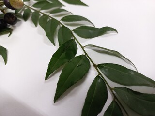 The fresh raw carry leaves are an indispensable part of Indian cuisine and Indian traditional...